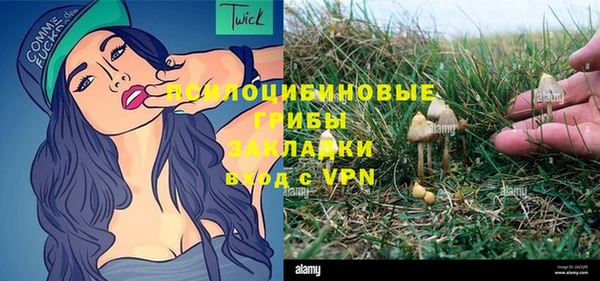 прущая мука Осташков