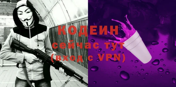 винт Няндома