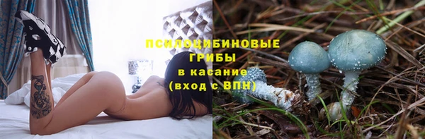 прущая мука Осташков